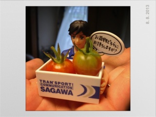 佐川さんがプチトマトを運んでくれまし